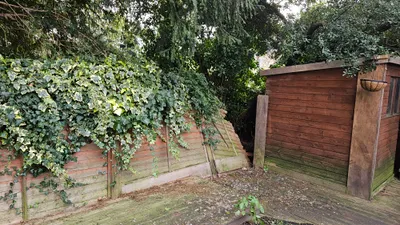 Before: Fence Replacement