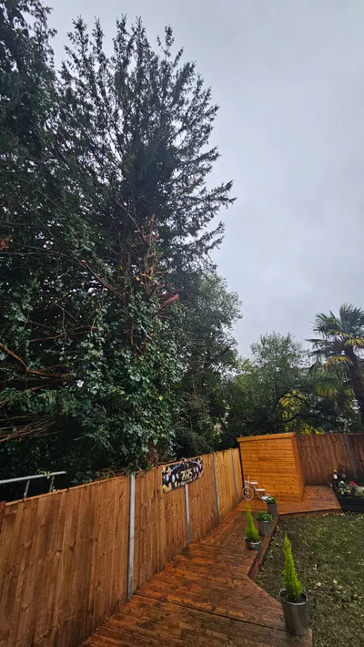 After: Large Tree Pruning